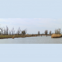 40 jaar Oostvaardersplassen