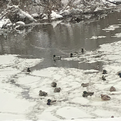 Mysterious Entertainment