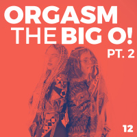 12. ¡ORGASMO PARA TI, ORGASMO PARA MI, ORGASMOS PARA TODXS!