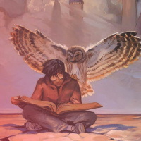 Club de Lectura: The Books Of Magic