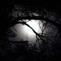 Dont Fear the Darkness