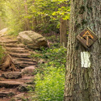 The Appalachian Trail - A Bucket List Destination for Hikers and Trail Runners!
