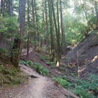 Beginning Trail Running