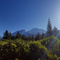 Shasta Gateway 50k Race Report