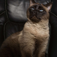 Is There Snobbism in Running?