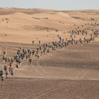 Stage Races Might Be For YOU!