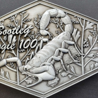 Bootleg Boogie Race  My Vacation!