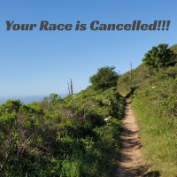 Race Co Reports and Improve Your Balance!