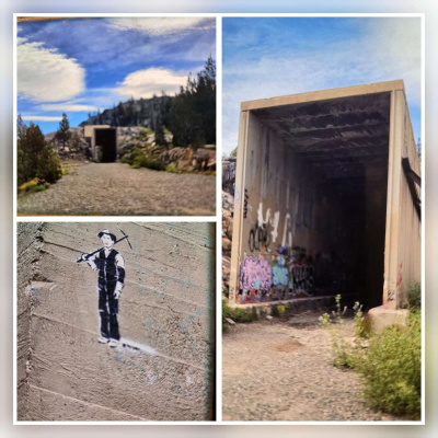 Martha Runs The World Podcast