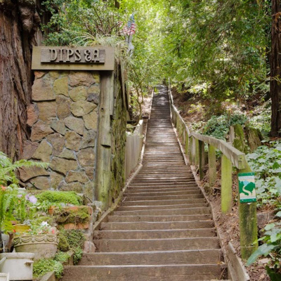 Martha Runs The World Podcast