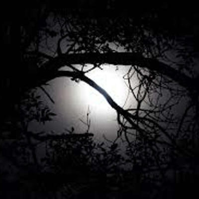 Martha Runs The World Podcast