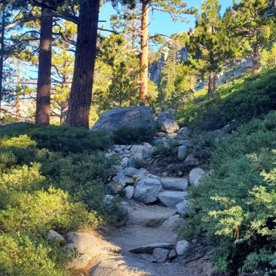 Martha Runs The World Podcast