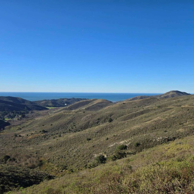 Martha Runs The World Podcast