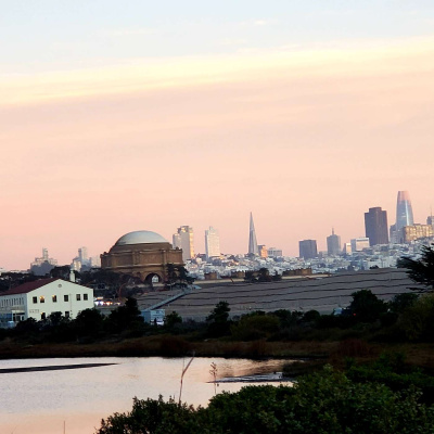 Martha Runs The World Podcast