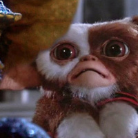 Primer Especial de Películas Navideñas