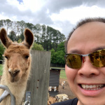 Chaiway Or The Highway