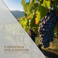 5 Niedziela Wielkanocna (28.04.2024) - Aby przynieść owoce... trzeba zwykle coś odciąć - ks. Marcin Cytrycki