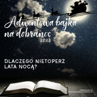 [#2] Dlaczego nietoperz lata nocą