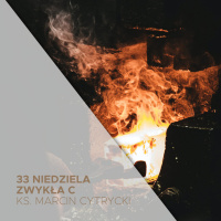 13.11.2022 - 33 Niedziela Zwykła C - Kuj żelazo póki gorące - ks. Marcin Cytrycki