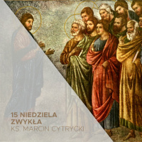 15 Niedziela Zwyka B (14.07.2024) - Amatorzy - ks. Marcin Cytrycki
