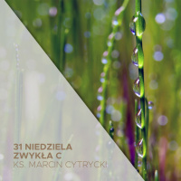 31 Niedziela Zwyka C - Taki jestes ty - ks. Marcin Cytrycki