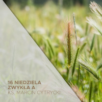 23.07.2023 - 16. Niedziela Zwykła (A) - Trzy przypowieści i dwie ważne prawdy - ks. Marcin Cytrycki