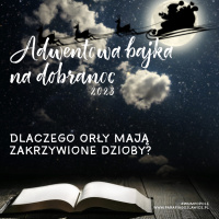 [#3] Dlaczego orły mają zakrzywione dzioby