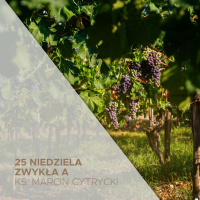 25. Niedziela Zwykła A - 24.09.2023 - Jak Ty! - ks. Marcin Cytrycki