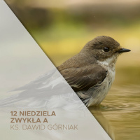 25.06.2023 - 12 Niedziela Zwykła (A) - ks. Dawid Górniak