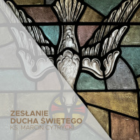 28.05.2023 - Zesłanie Ducha Świętego (A) - Jeden, święty, powszechny i apostolski - ks. Marcin Cytrycki