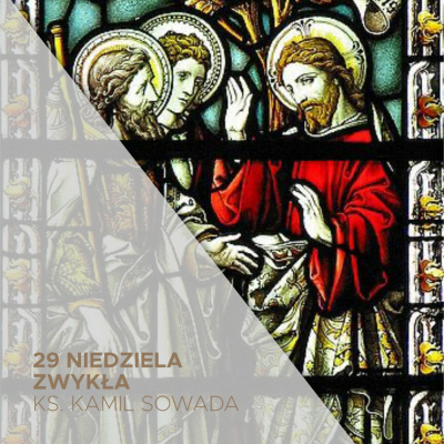 Parafia Wnmp Opole Gosåawice