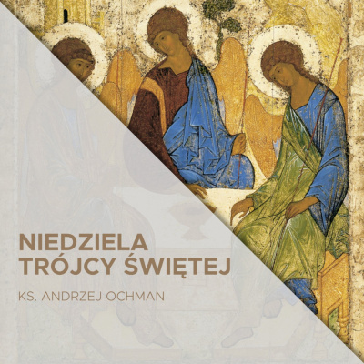 Parafia Wnmp Opole Gosåawice