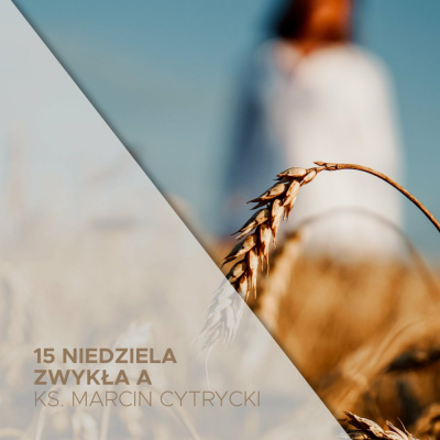 Parafia Wnmp Opole Gosåawice