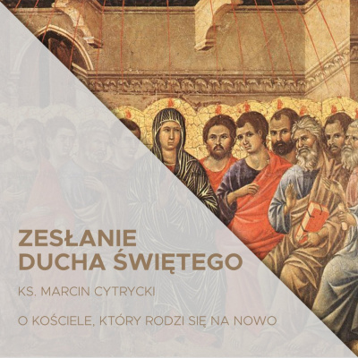 Parafia Wnmp Opole Gosåawice