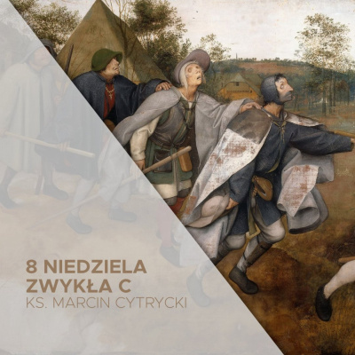 Parafia Wnmp Opole Gosåawice