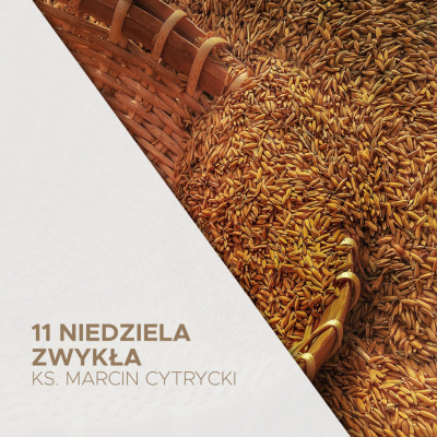 Parafia Wnmp Opole Gosåawice