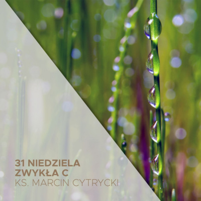 Parafia Wnmp Opole Gosåawice