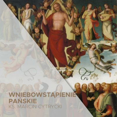 Parafia Wnmp Opole Gosåawice