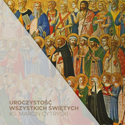 Parafia Wnmp Opole Gosåawice