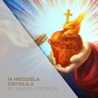 Parafia Wnmp Opole Gosåawice