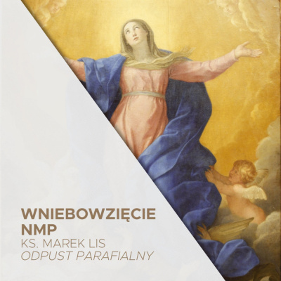 Parafia Wnmp Opole Gosåawice