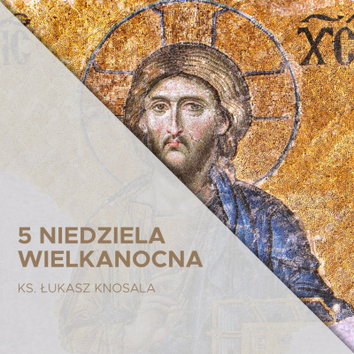 Parafia Wnmp Opole Gosåawice