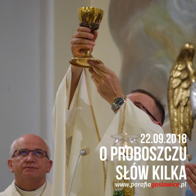 Parafia Wnmp Opole Gosåawice