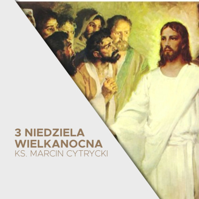 Parafia Wnmp Opole Gosåawice