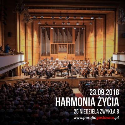 Parafia Wnmp Opole Gosåawice