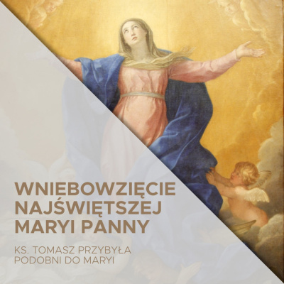 Parafia Wnmp Opole Gosåawice