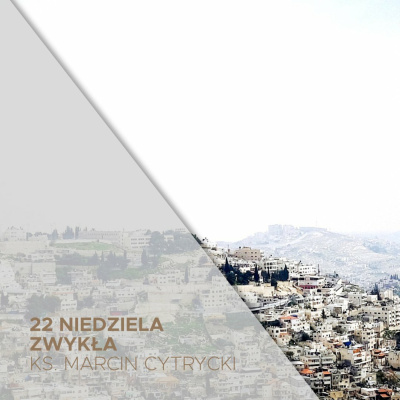 Parafia Wnmp Opole Gosåawice