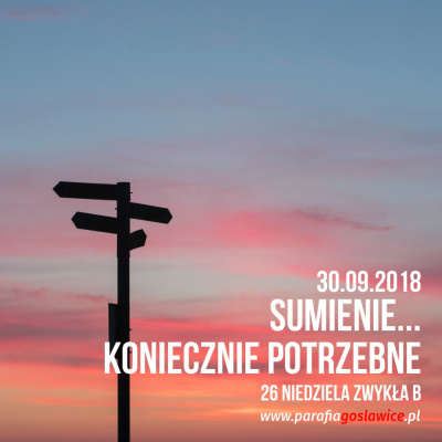 Parafia Wnmp Opole Gosåawice