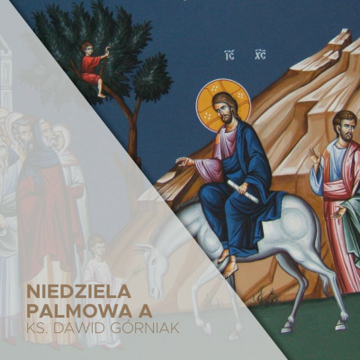 Parafia Wnmp Opole Gosåawice