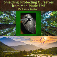 Shielding: Protecting Ourselves from Man-Made EMF